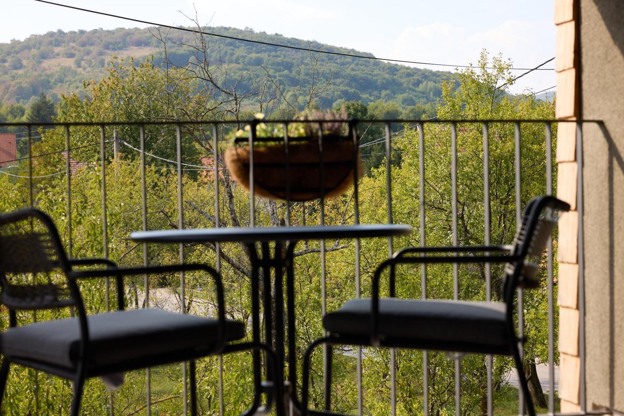 ラコヴィツァPlitvice Nest 2アパートメント エクステリア 写真