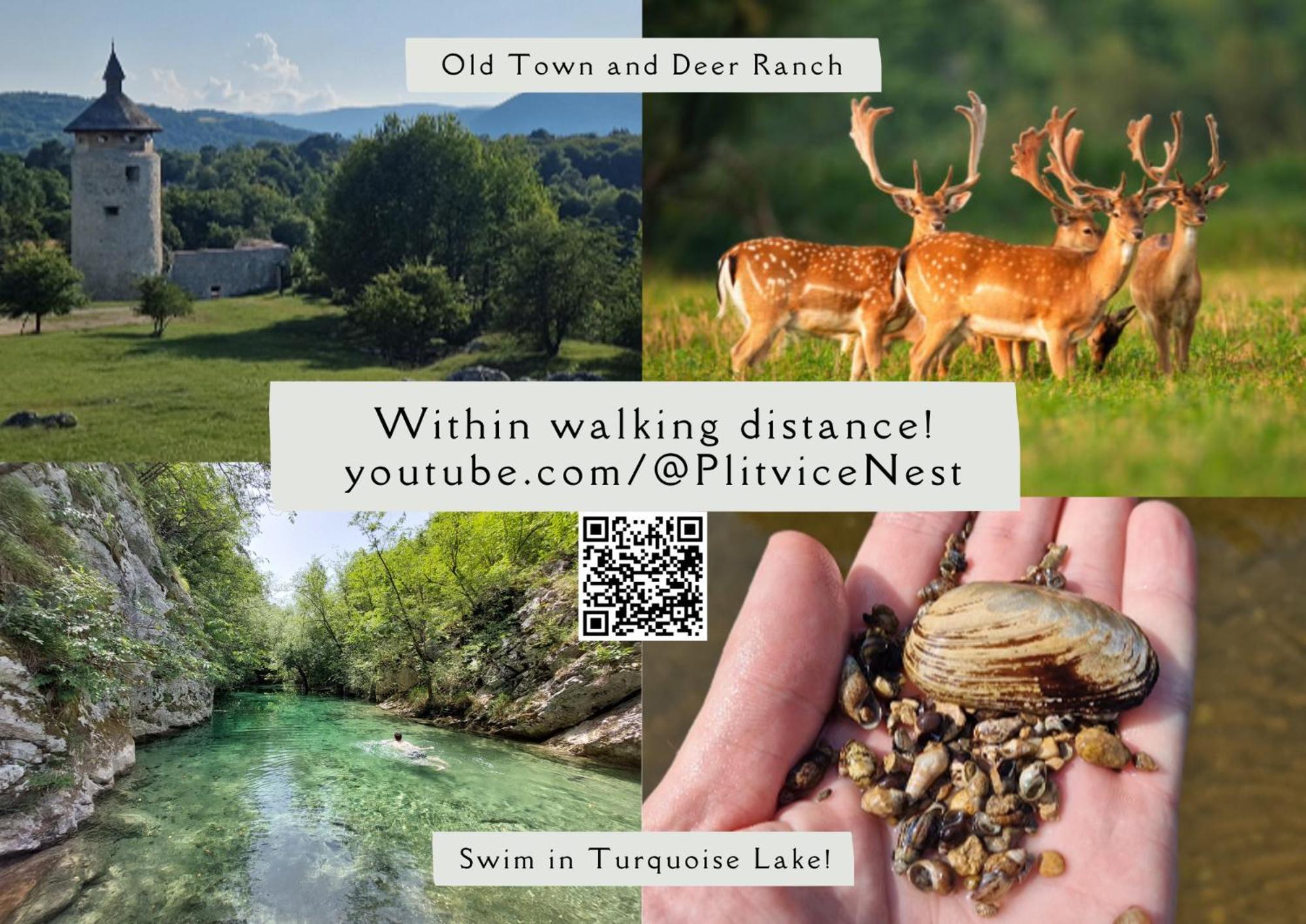 ラコヴィツァPlitvice Nest 2アパートメント エクステリア 写真